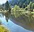 Forellenteich Feld am See