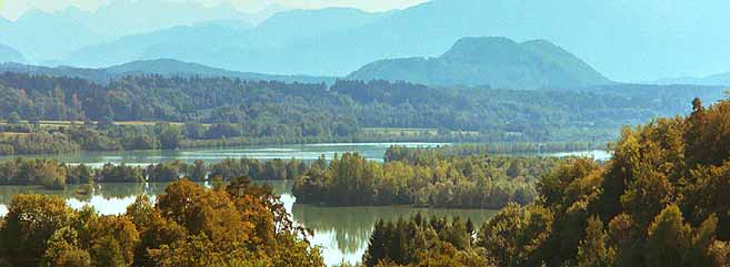 Wasser und Auwald im Revier Strzenbecher