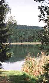 Idylle am Gsselsdorfer See